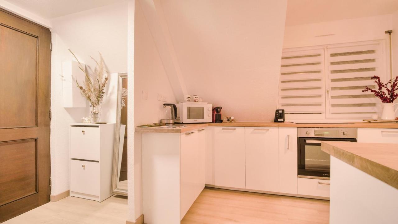 Superbe Appartement Au Coeur Du Кольмар Экстерьер фото